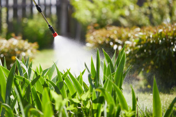 24/7 Emergency Mosquito Control experts in Wildomar, CA