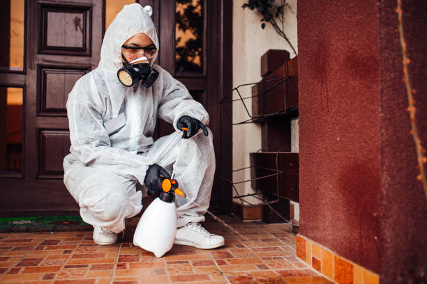Reliable Mosquito Control contractor in Wildomar, CA by Show Me Pest Control